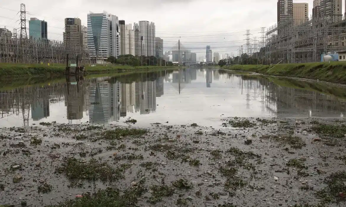 Rio Pinheiros com poluição em 2019 (Rovena Rosa/ Agência Brasil)