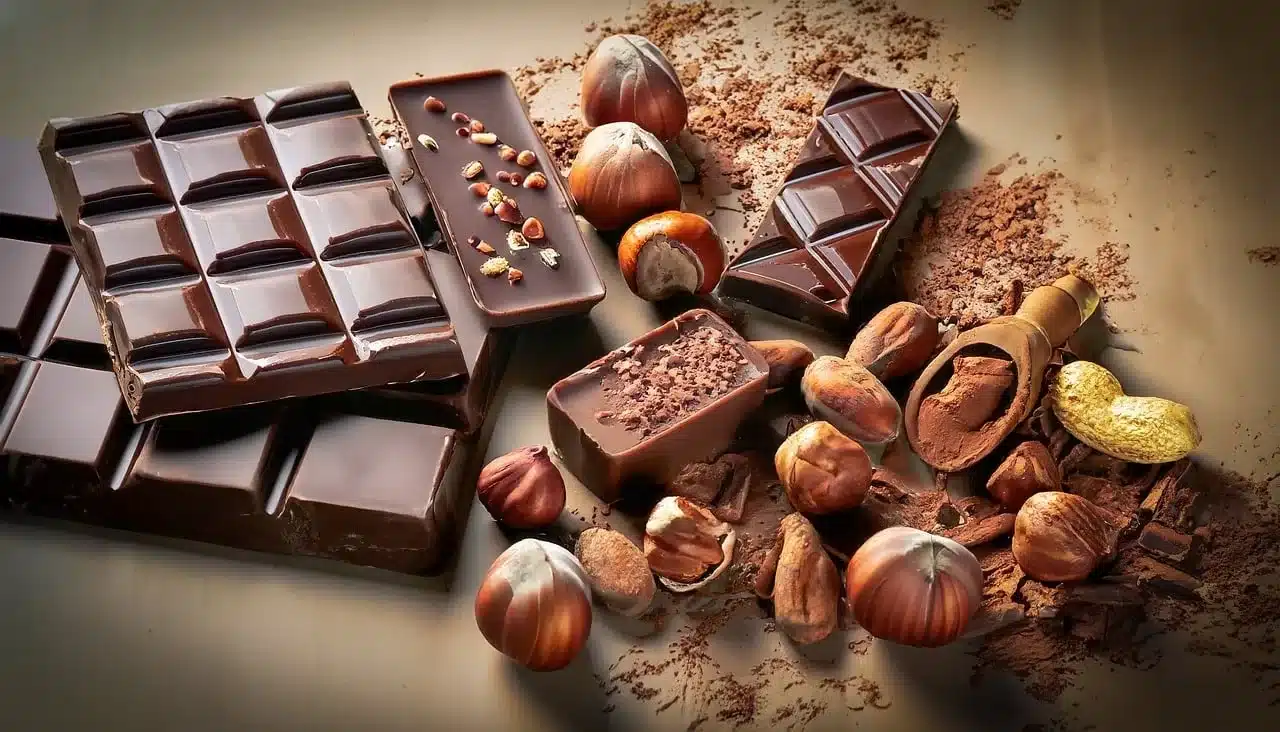 Chocolate amazônico chama atenção (Foto: Pixabay)