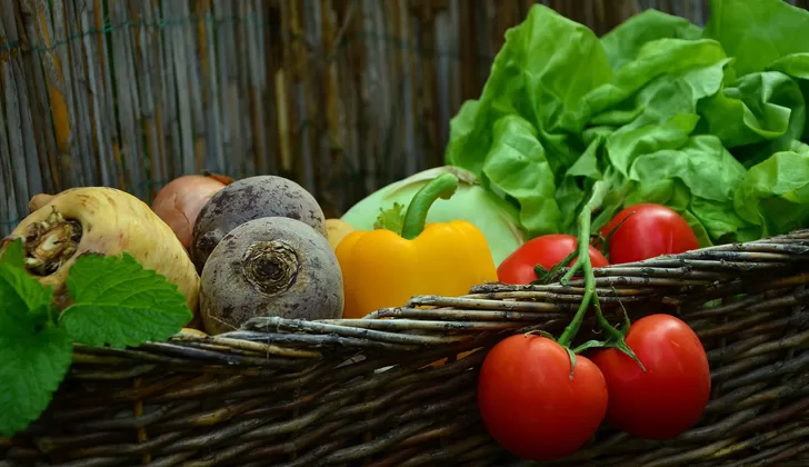 Nova forma de se alimentar pode ser a mais sustentável (Foto: Pixabay)