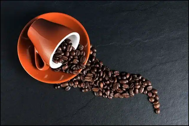 Consumo de café tem impacto na sustentabilidade (Foto: Pixabay)
