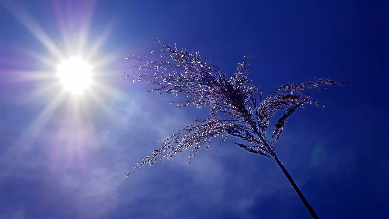 Planeta completa um ano consecutivo registrando altas temperaturas (Foto: Pixabay)
