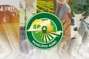 Município Agro (Foto: Reprodução)