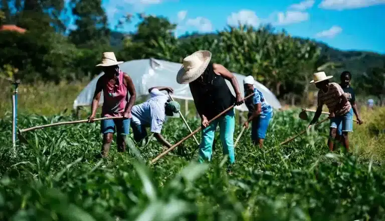 Agronegócio bate recorde com número de pessoas trabalhando (Foto: Pixabay)