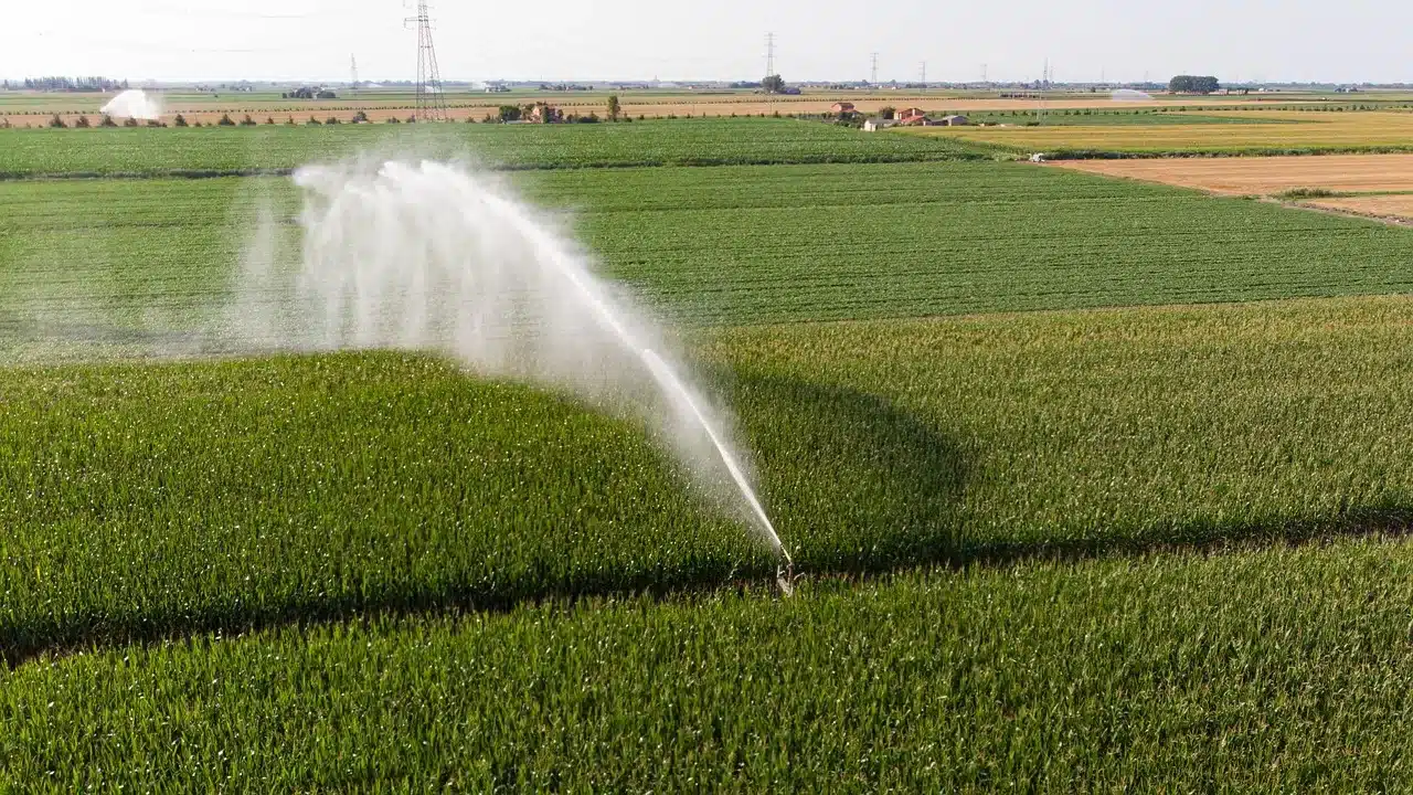 Irrigação por assinatura é inovação no agro (Foto: @Pascvii/Pixabay)