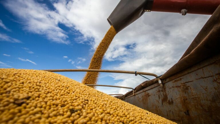 Agro (Foto: Freepik)