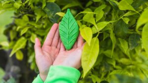 Sustentabilidade (Foto: Freepik)