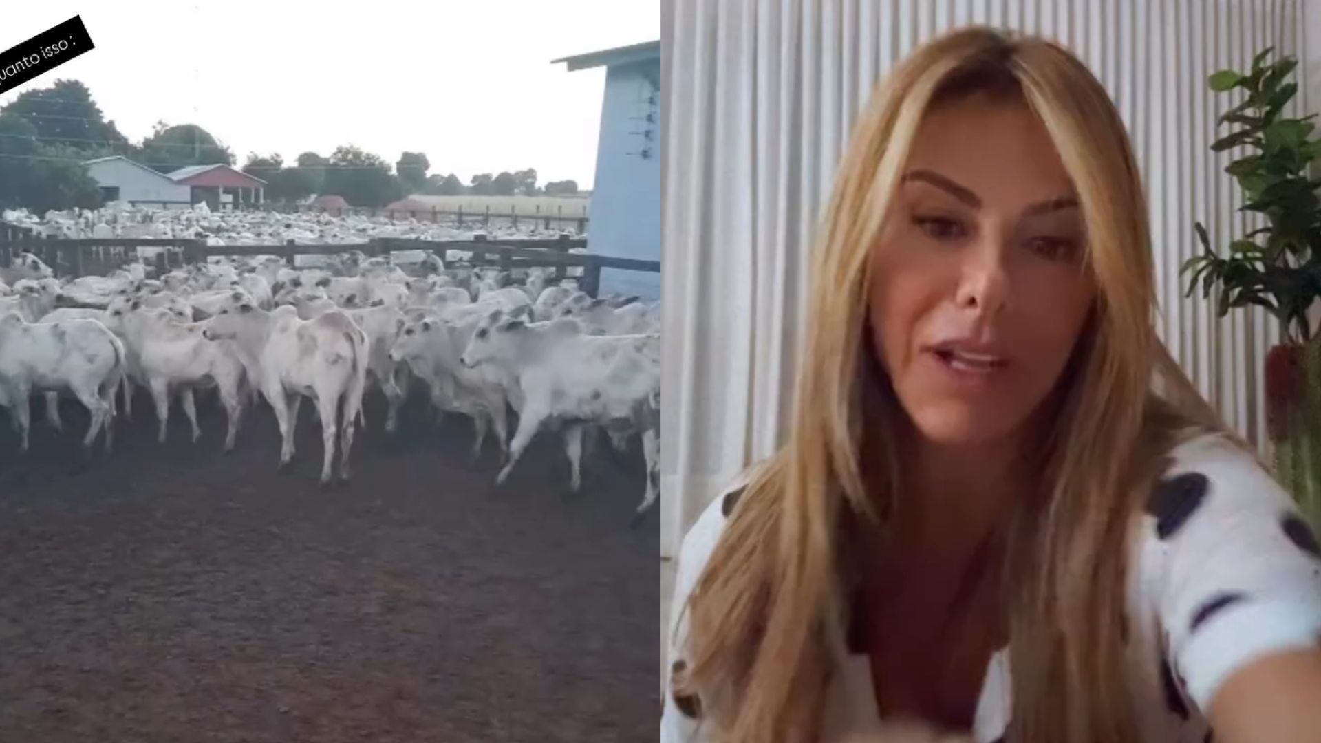 Poliana Rocha (Foto: Instagram)