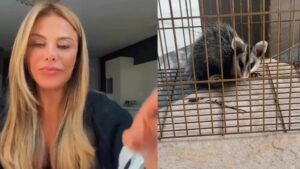 Poliana Rocha e animal (Foto: Instagram)