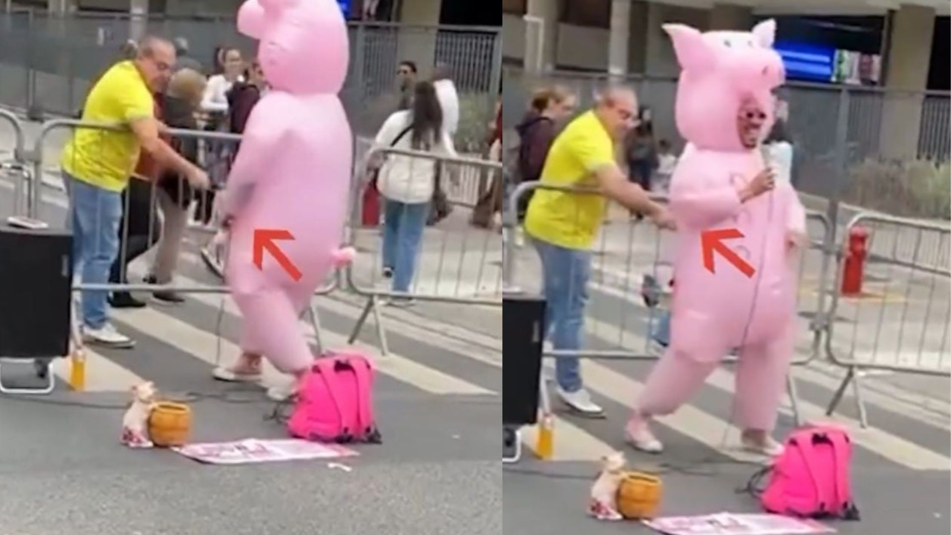 Porquinho da Paulista (Foto: Instagram)