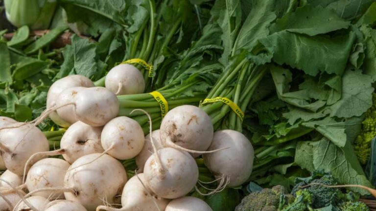 Nabo (Foto: Freepik)