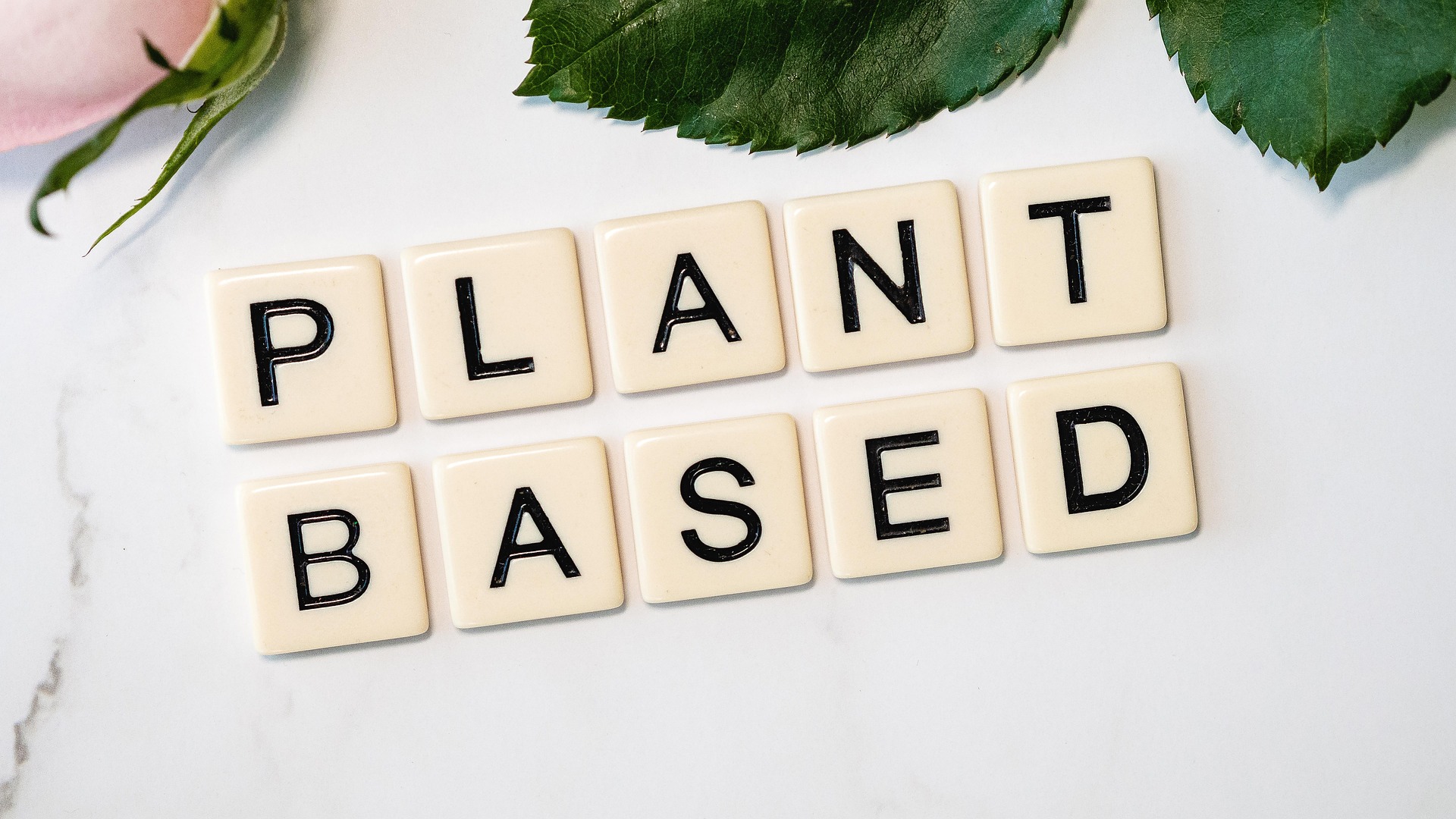 Peixes e opções plant-based (Foto: Pixabay)
