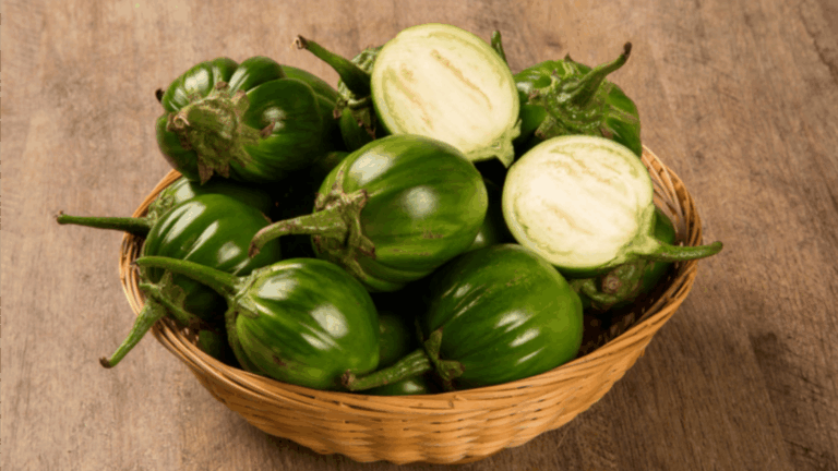 Jilo (Foto: Freepik)