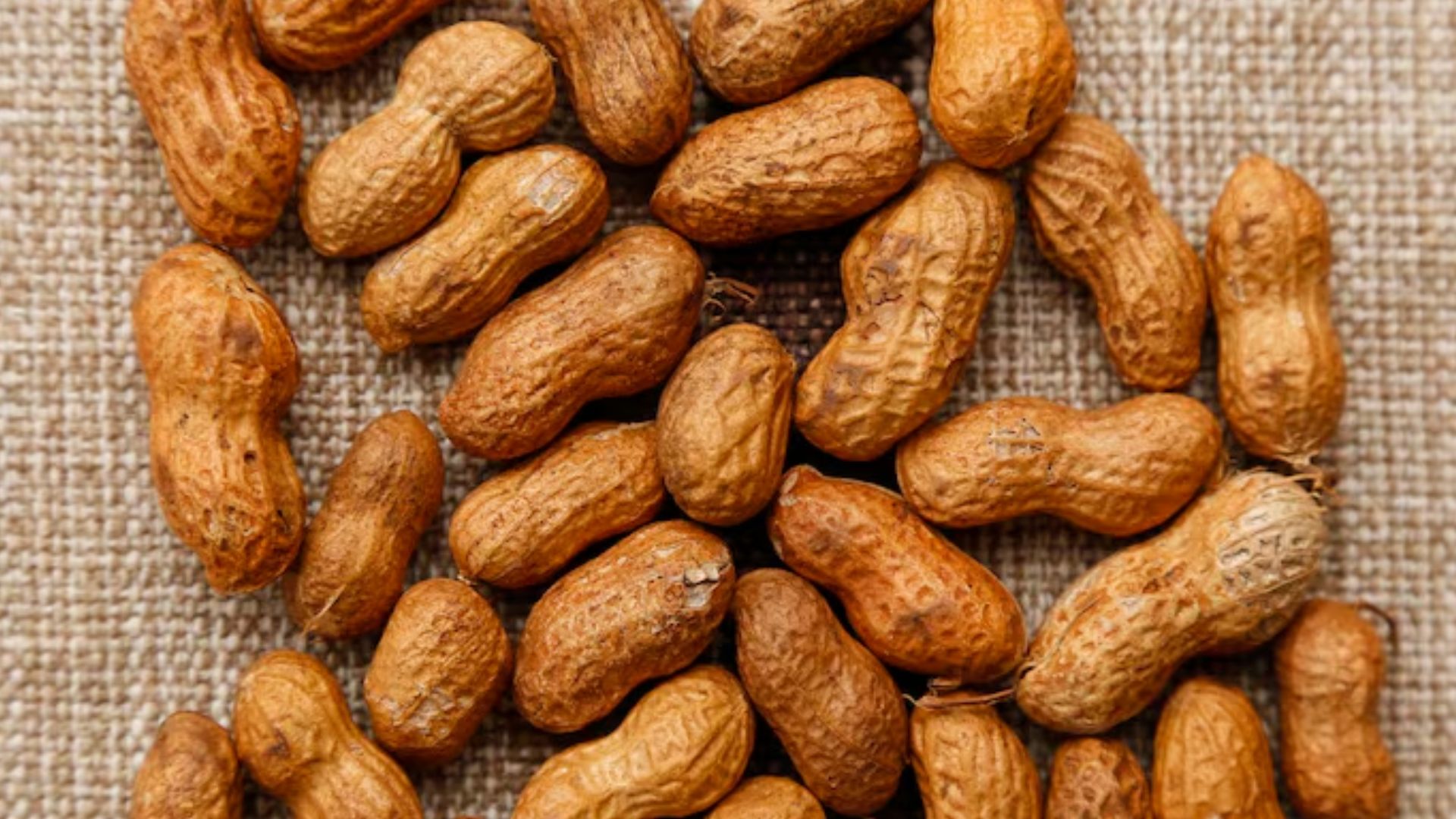 Amendoim (Foto: Freepik)