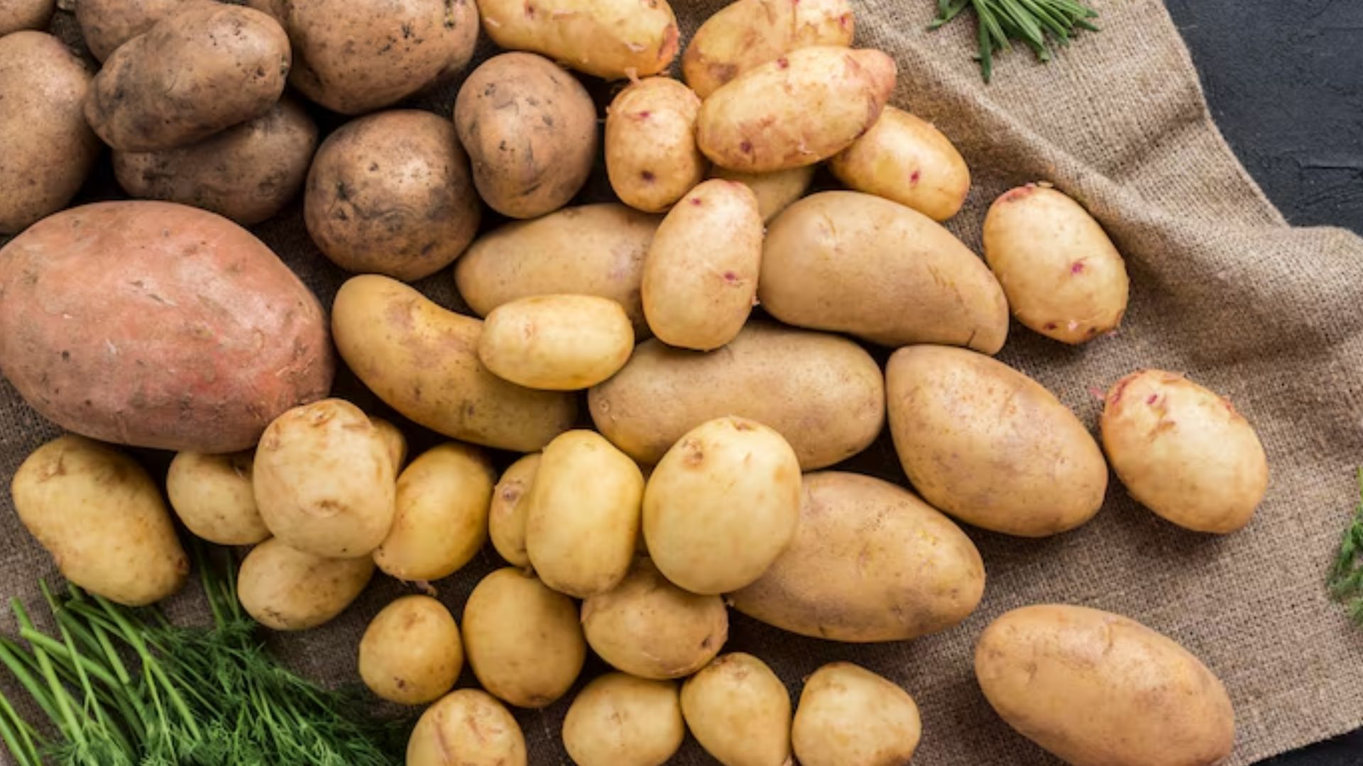 Batatas (Foto: Freepik)