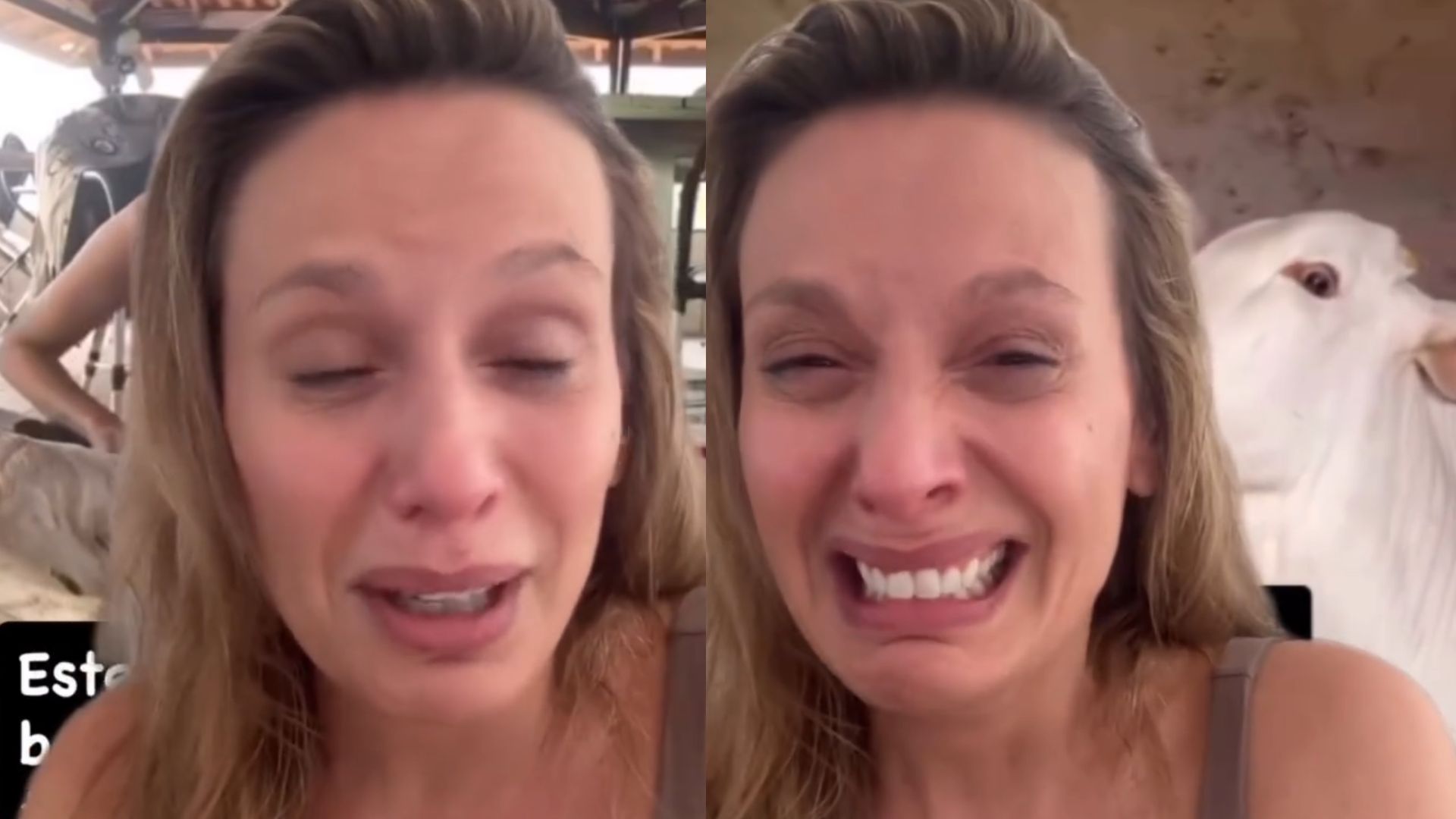 Luisa Mell (Foto: Instagram)