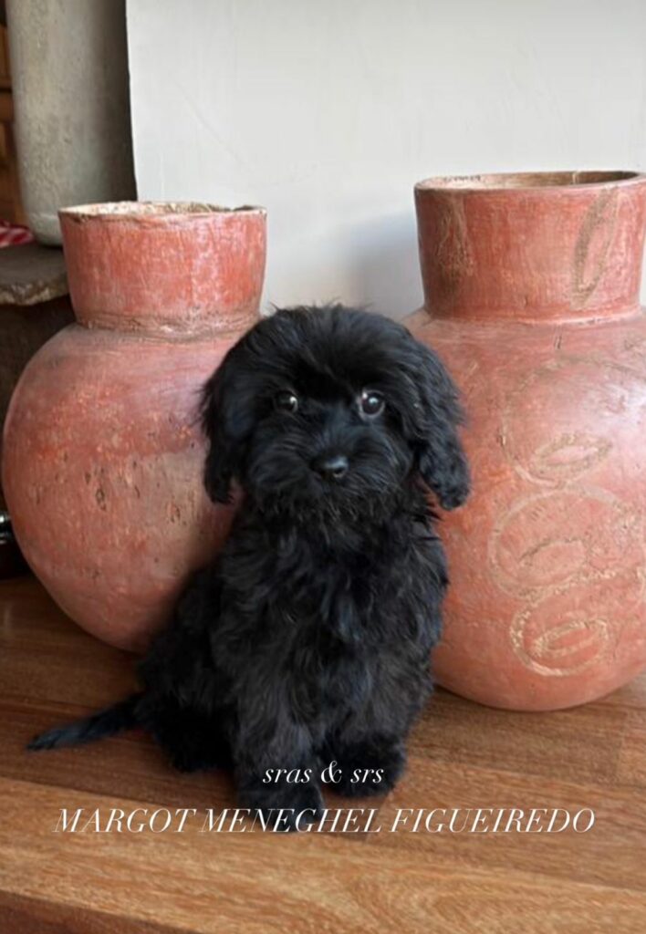 Margot (Foto: Instagram)