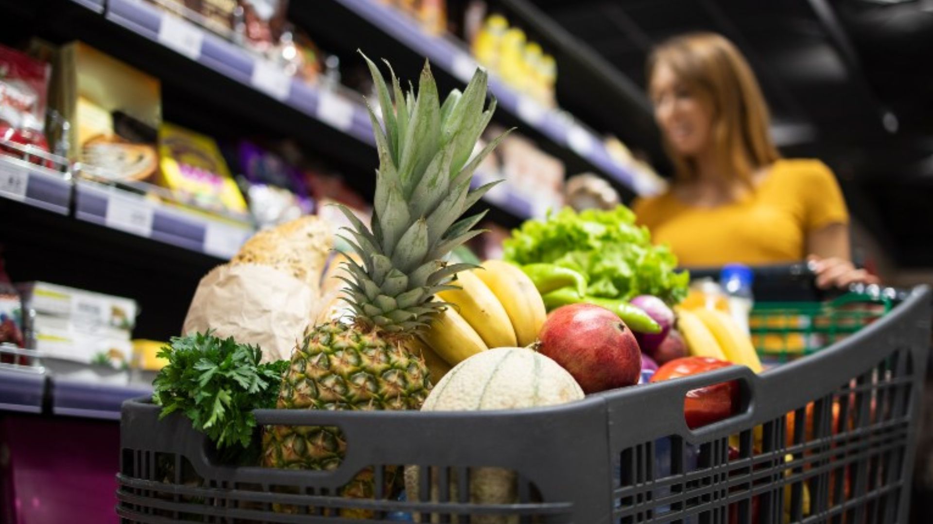 Sustentabilidade (Foto: Freepik)