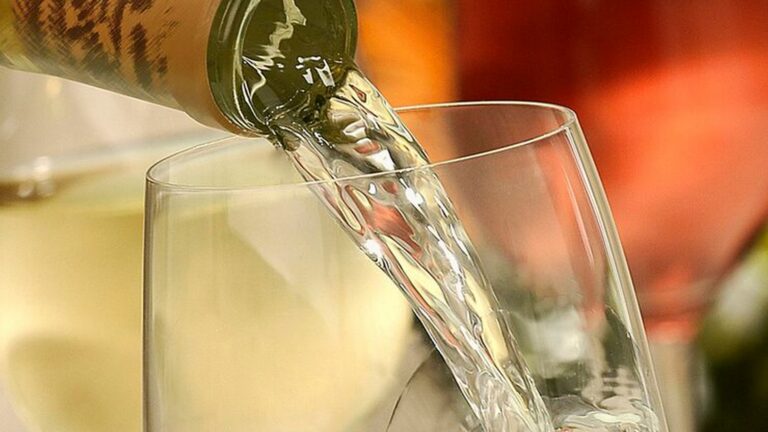 Bebidas (Foto: Freepik)