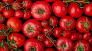 Tomate (Foto: Freepik)