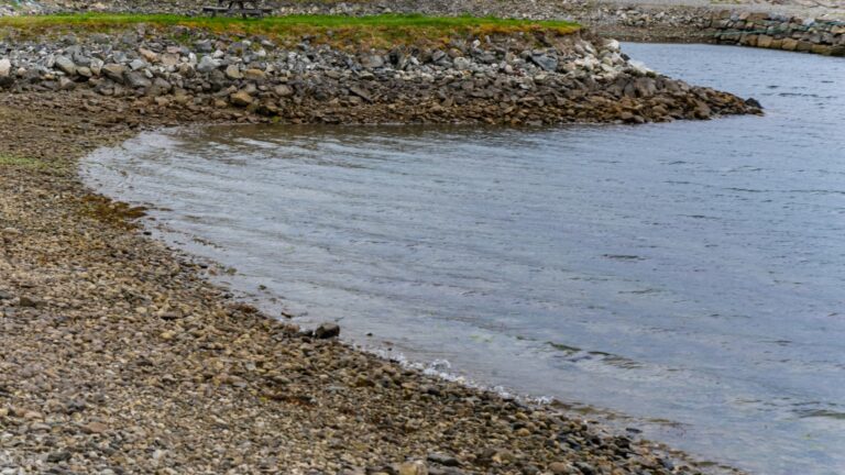 Seca (Foto: Freepik)