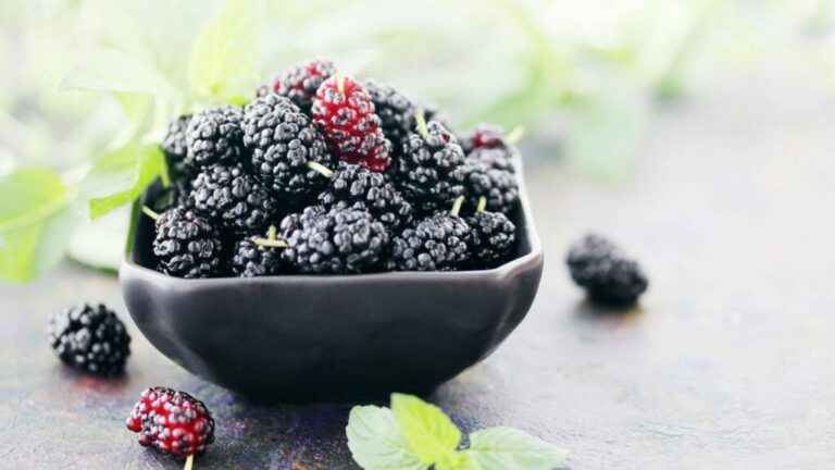 Créditos: Foto/Divulgação