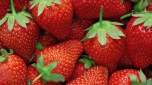 Créditos: Foto/Divulgação