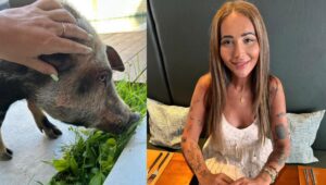 Amanda Fróes e Gautier (Foto: Instagram)