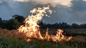 Queimada (Foto: Freepik)