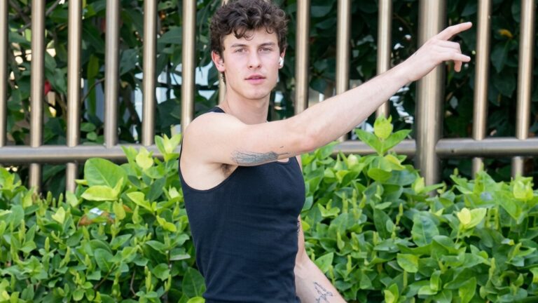 Shawn Mendes (Foto: Captura X aprimorada com AI)