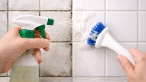 Créditos: Foto/Divulgação