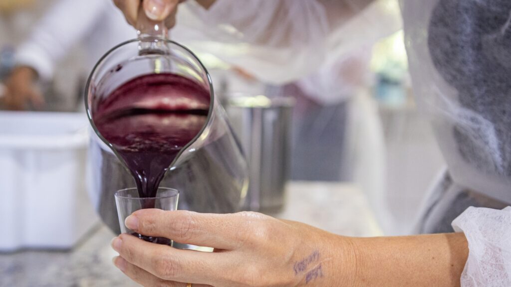 Polpa de Juçara (Foto: Gabriel Marchi)