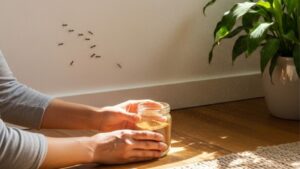 Créditos: Foto/Divulgação