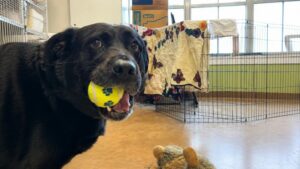 Créditos: Foto/Divulgação