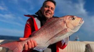 Peixe pargo (Foto: Instagram)