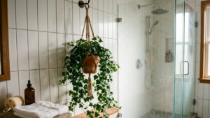 Planta hera-inglesa (Foto: IA)