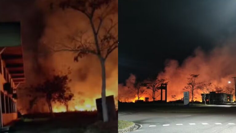 Incêndio atinge área da UFPA (Foto: X)