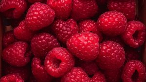 Framboesas (Foto: Pexels)