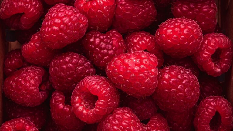 Framboesas (Foto: Pexels)