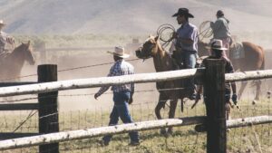 Western (Foto: Pexels)